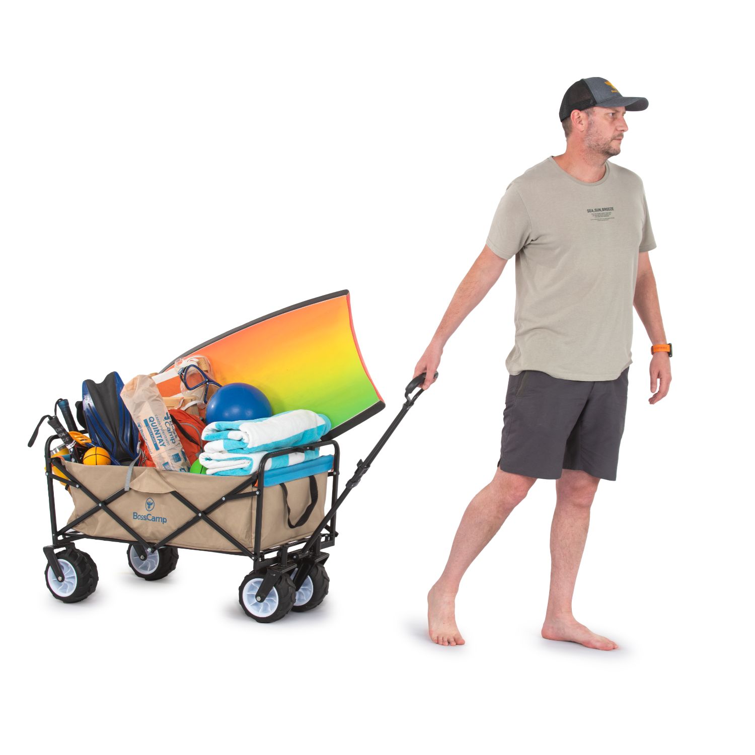CARRO DE TRANSPORTE PLEGABLE QUINTAY - 4