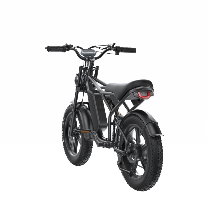E-BIKE SHENGTE DYZ1500W BLACK 20X4 - 2