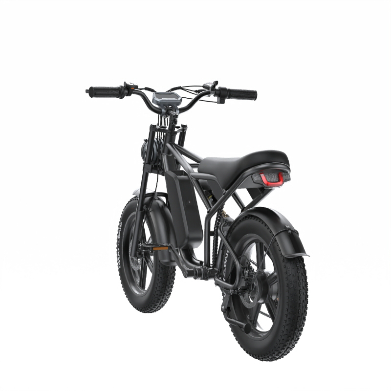 E-BIKE SHENGTE DYZ1500W BLACK 20X4 - 2
