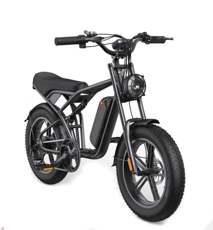 E-BIKE SHENGTE DYZ1500W BLACK 20X4 - 3
