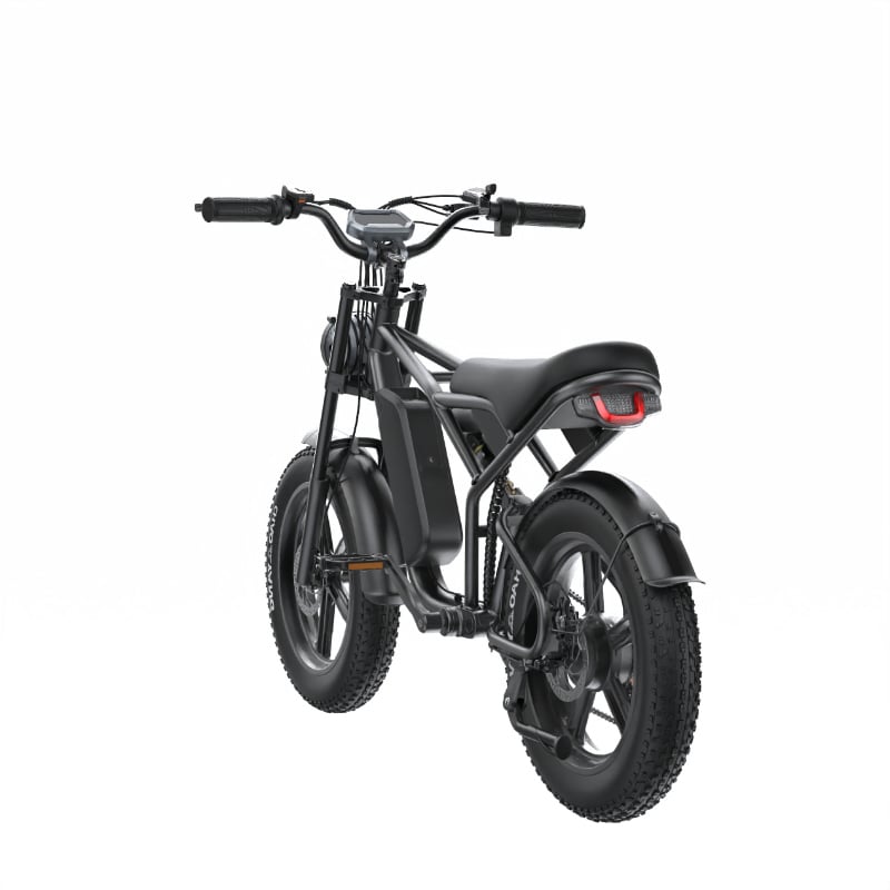 E-BIKE SHENGTE DYZ DUAL MOTOR 3000W - 2