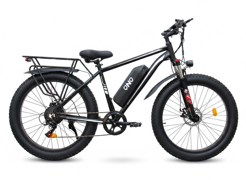 E-BIKE SHENGTE X26 SINGLE MOTOR 1000W - 2