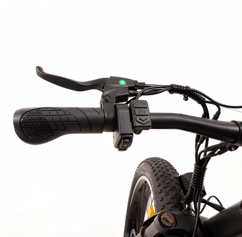 E-BIKE SHENGTE X26 SINGLE MOTOR 1000W - 5