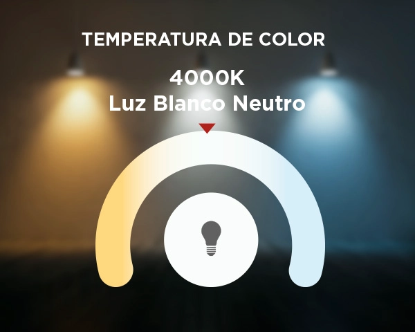 PANEL SOBREPUESTO LED WESTINGHOUSE 18 W LUZ BLANCO NEUTRO C/KIT EMERGENCIA - 2