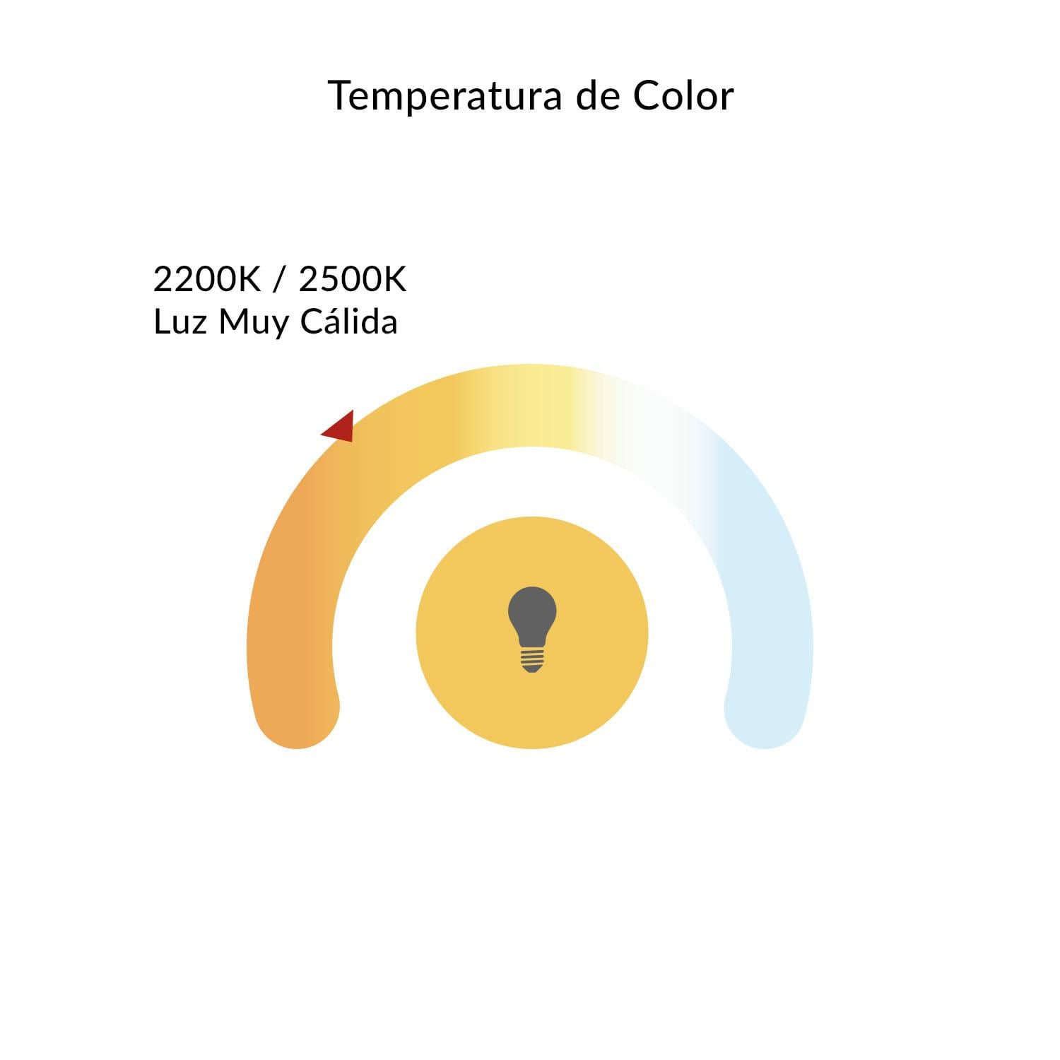 AMPOLLETA LED FILAMENTO G95 5W LUZ MUY CÁLIDA E27 - 2