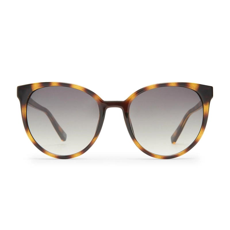 ANTEOJOS DE SOL ARMADA TORT - KHAKI GRAD - 1