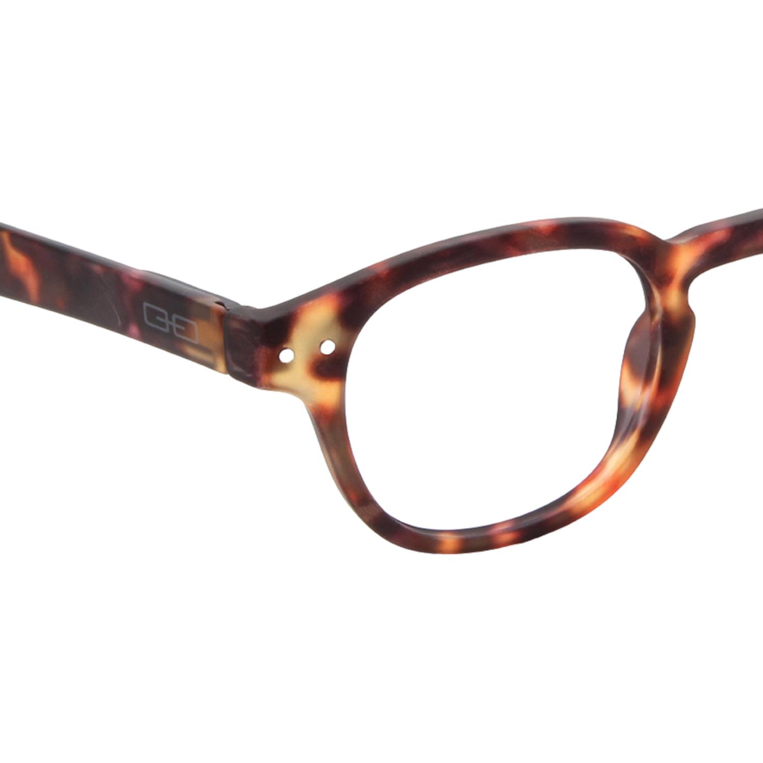 LENTES SOL DOUBLE VISION THE SCIENTIST TORT - 3
