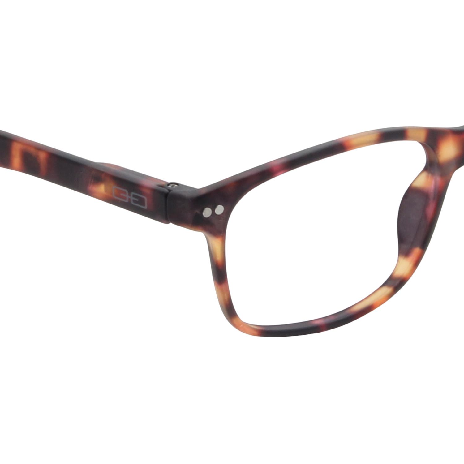 LENTES SOL DOUBLE VISION THE PHILOSOPHER TORT - 3