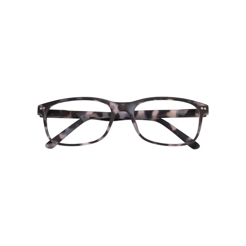 LENTES SOL DOUBLE VISION THE PHILOSOPHER GRIS TORT - 1