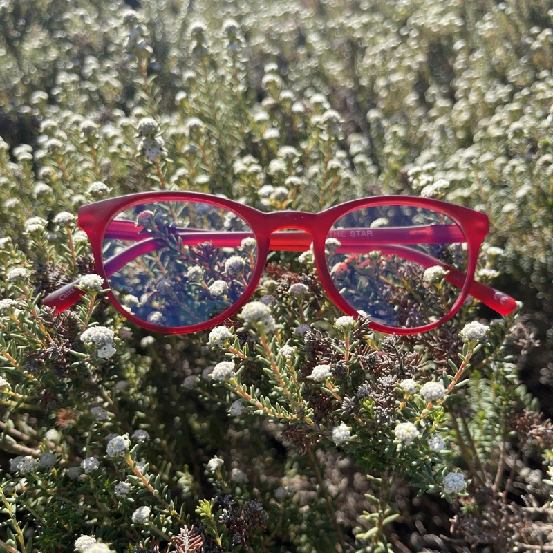 LENTES SOL DOUBLE VISION THE STAR GRIS TORT - 6