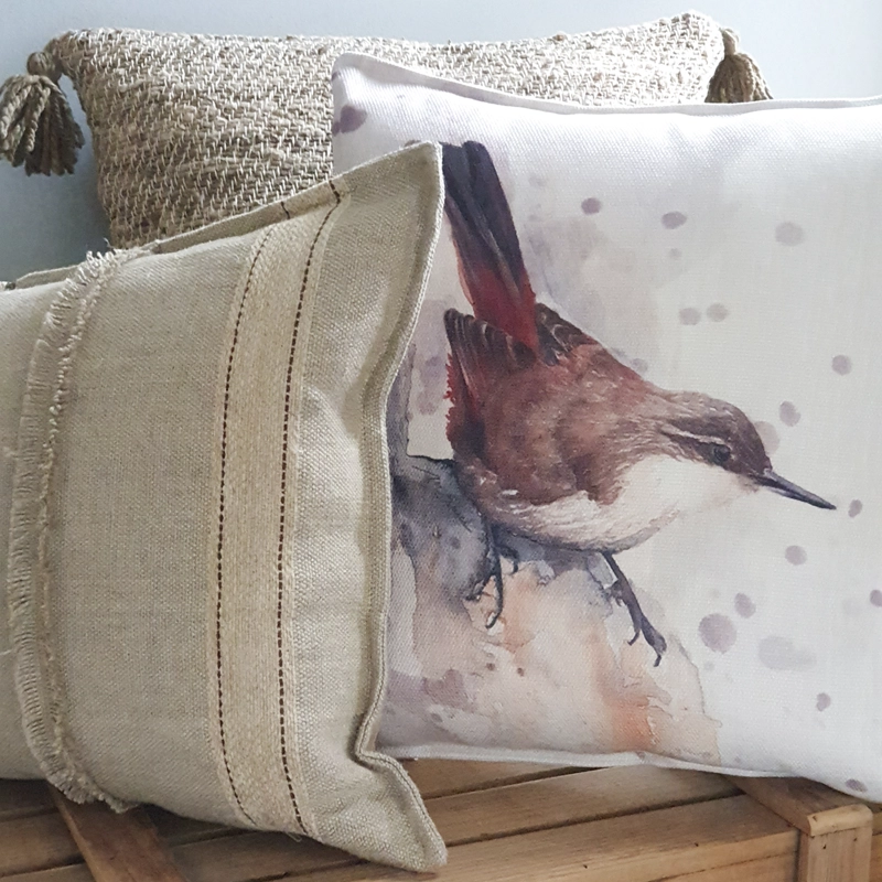 FUNDA COJÍN MARGARITA SCHEEL PARA CASA ALVARINHO MARISA CHIRICOCA 45 X 45 CM - 2