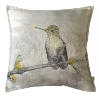 FUNDA COJÍN MARGARITA SCHEEL PARA CASA ALVARINHO MARISA PICAFLOR CHICO 45 X 45 CM MULTICOLOR - 1