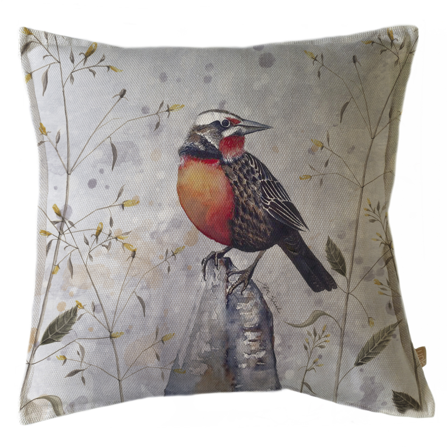 FUNDA COJÍN MARGARITA SCHEEL PARA CASA ALVARINHO MARISA LLOICA 45 X 45 CM MULTICOLOR - 1