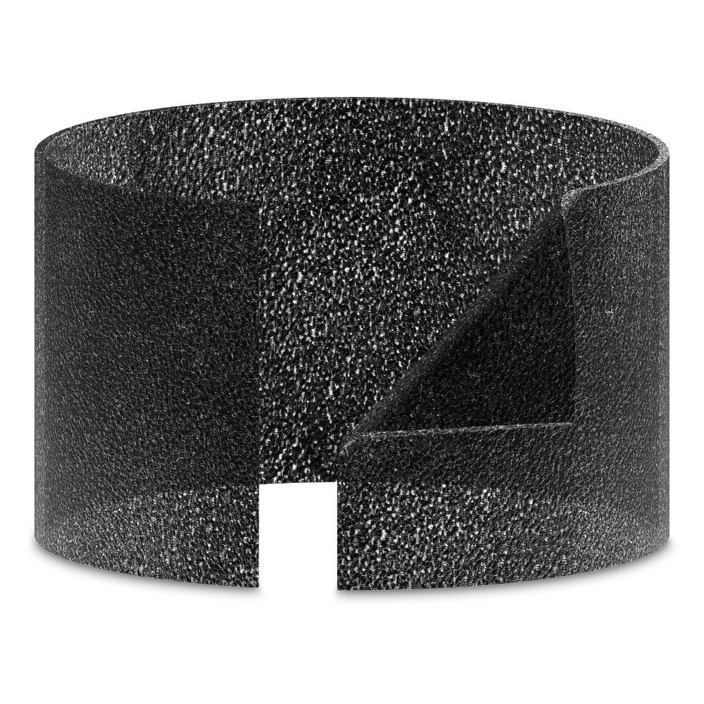 REPUESTO FILTRO DE CARBON PARA Z2000 TRUSENS - 2