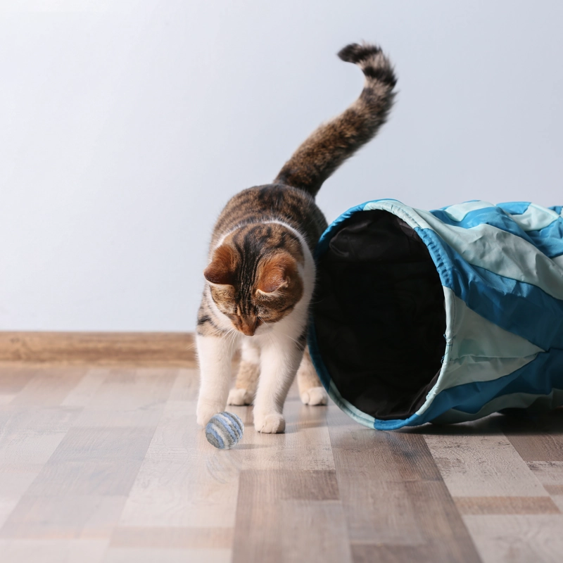 JUGUETE PARA GATO MIMO 2 PELOTITAS FIBRA NAT PP125 - 3