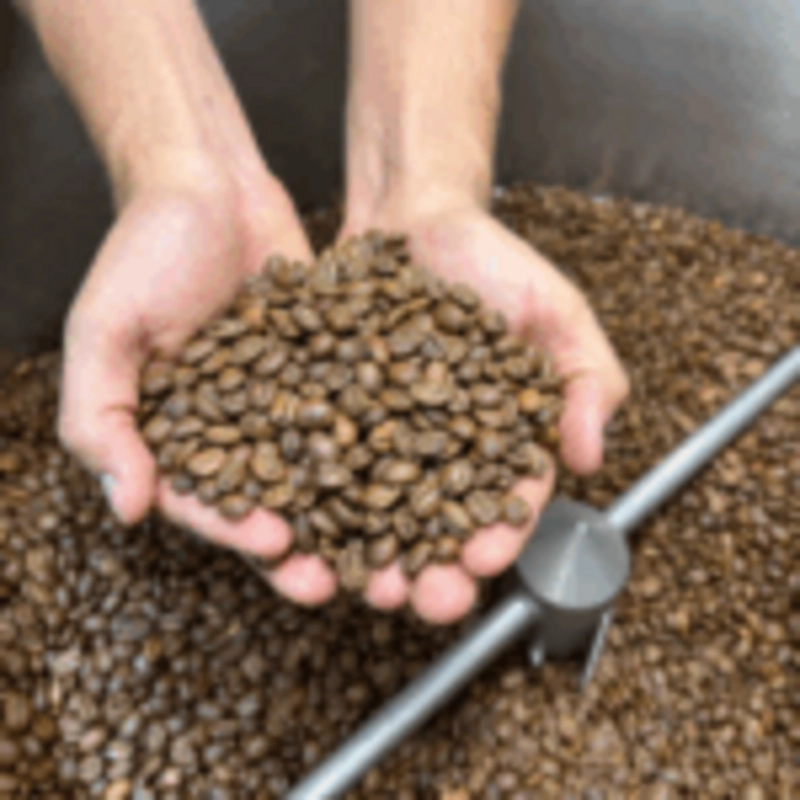 CAFE EN GRANO NOSSO CAFE JUSTO FINCA INDIGENA 250G - 3
