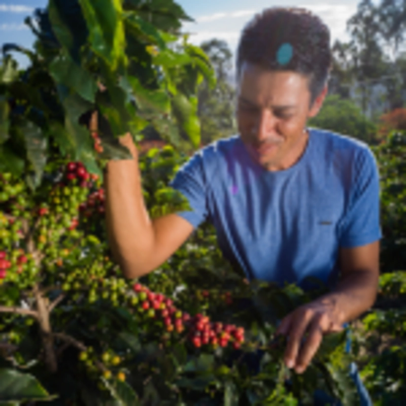 CAFE MOLIDO FILTRADO NOSSO CAFE JUSTO TROPICAL BLEND 250G - 4