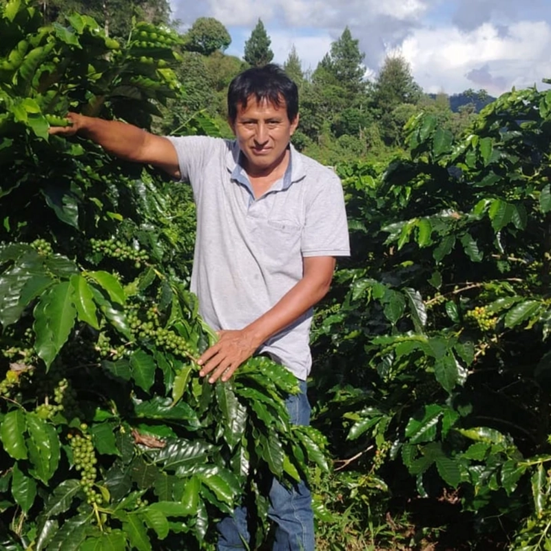 CAFE EN GRANO KAWAS PERU PANGOA CAFE DE ORIGEN 250G - 7