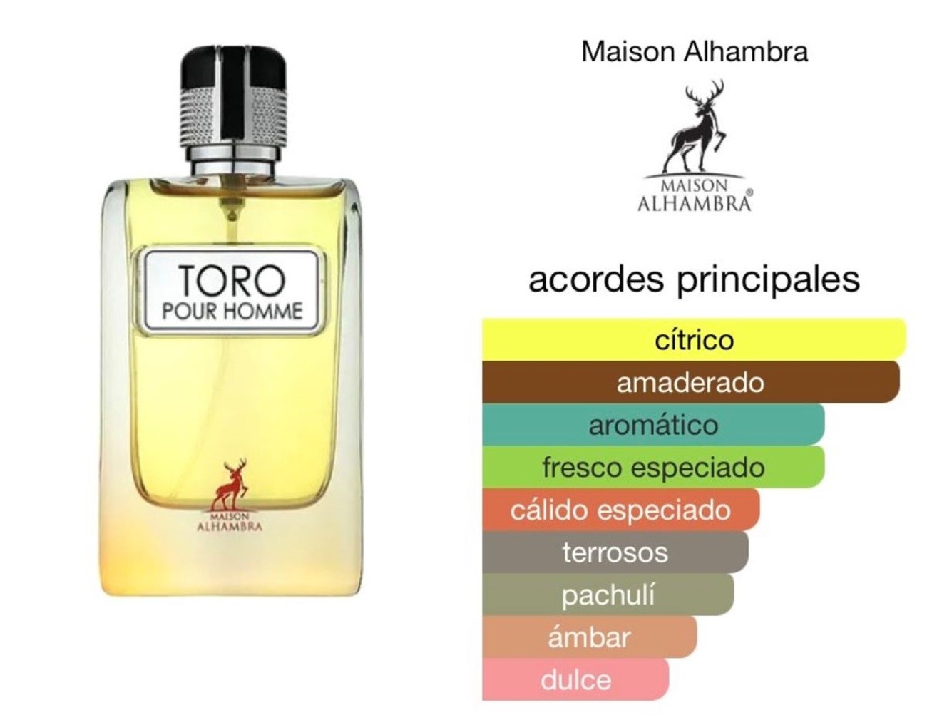 MAISON ALHAMBRA TORO POUR HOMME EDP 100ML - 2