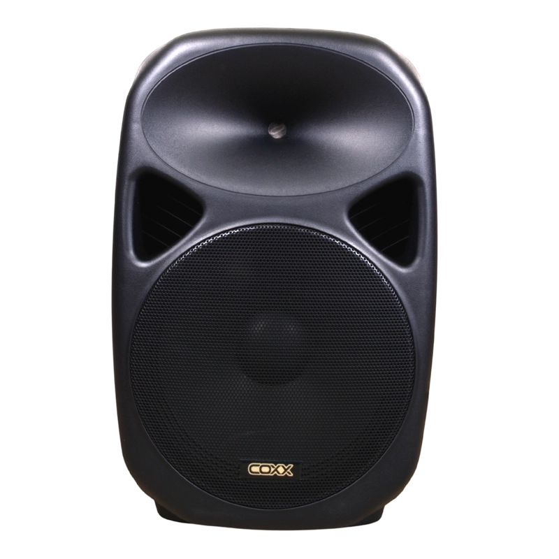 CAJA ACUSTICA PORTABLE CON 2 MICROFONOS + BLUETOOTH COXX - 1