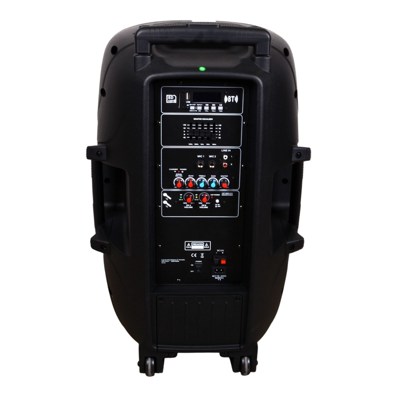 CAJA ACUSTICA PORTABLE CON 2 MICROFONOS + BLUETOOTH COXX - 2