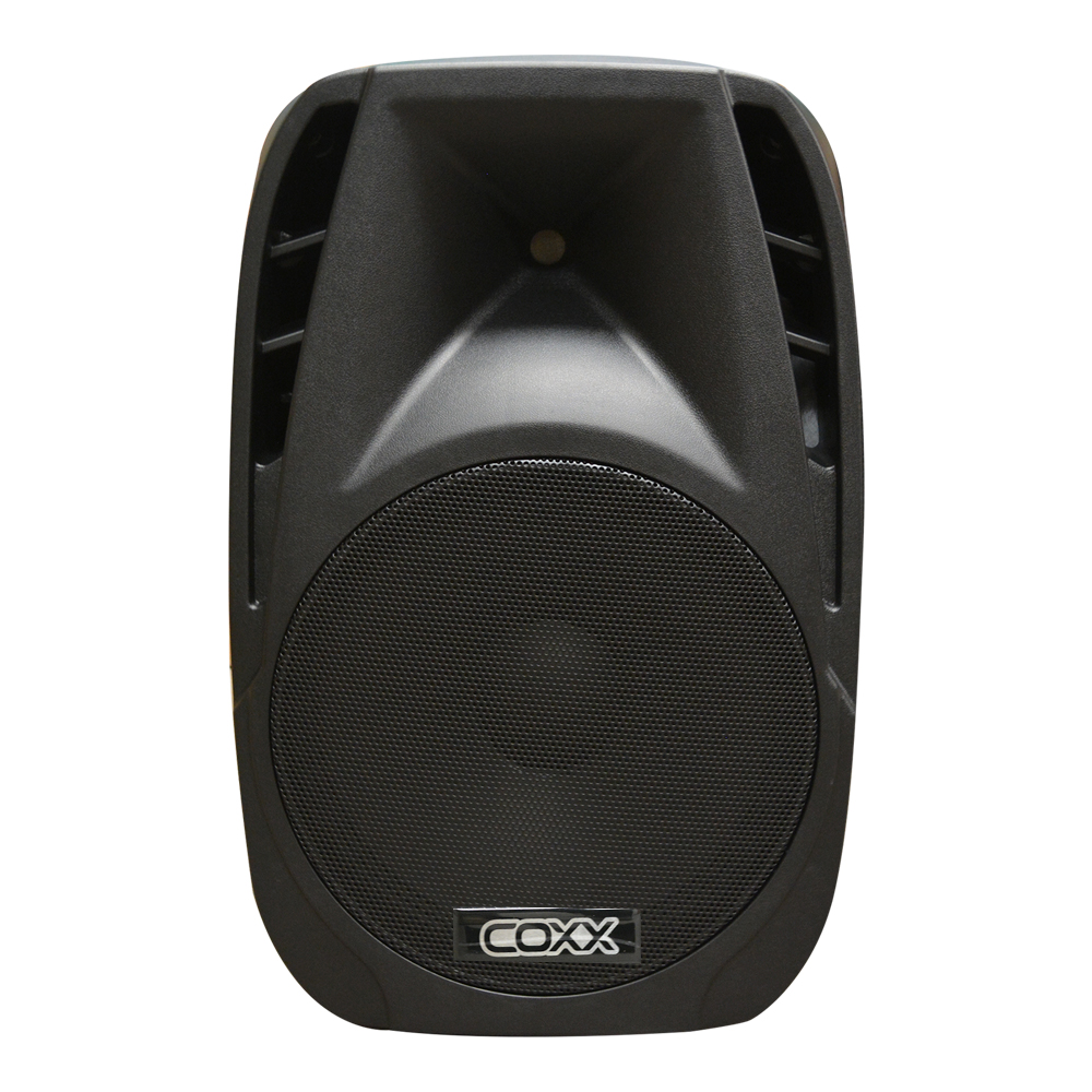 CAJA ACUSTICA PORTABLE CON 2 MICROFONOS + BLUETOOTH COXX - 2