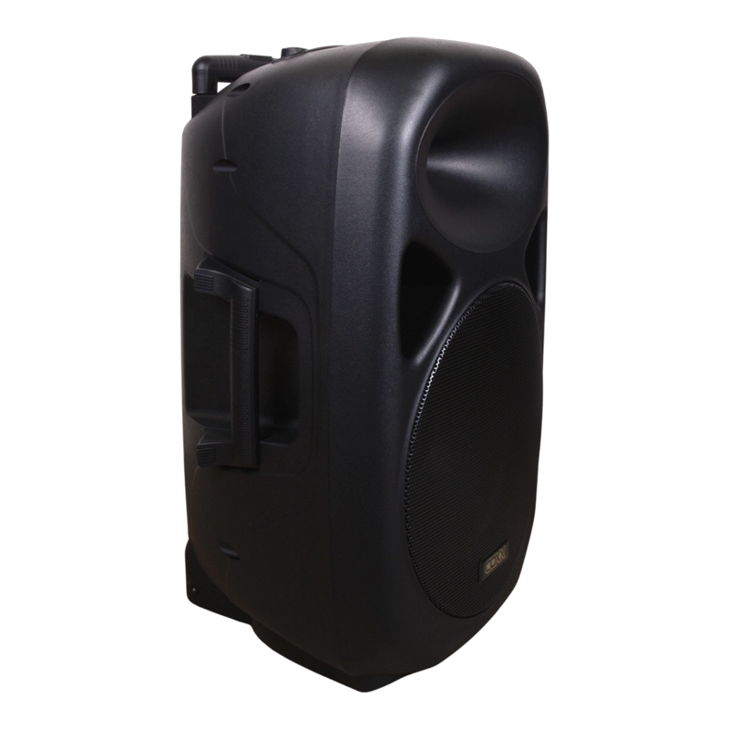 CAJA ACUSTICA PORTABLE CON 2 MICROFONOS + BLUETOOTH COXX - 3