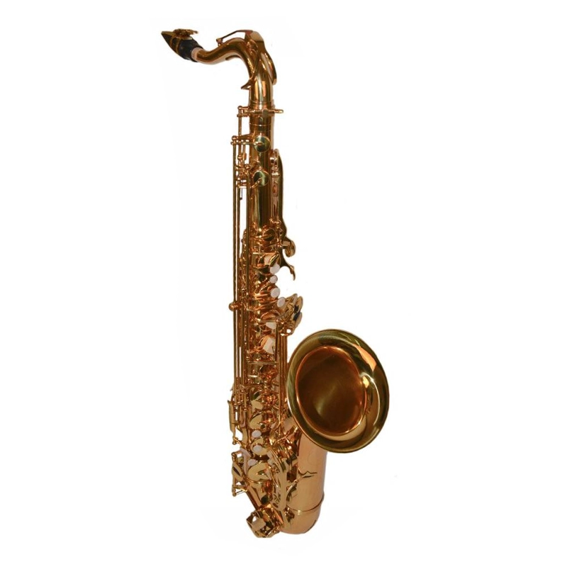 SAXO TENOR MODELO ST-08 ETINGER - 1