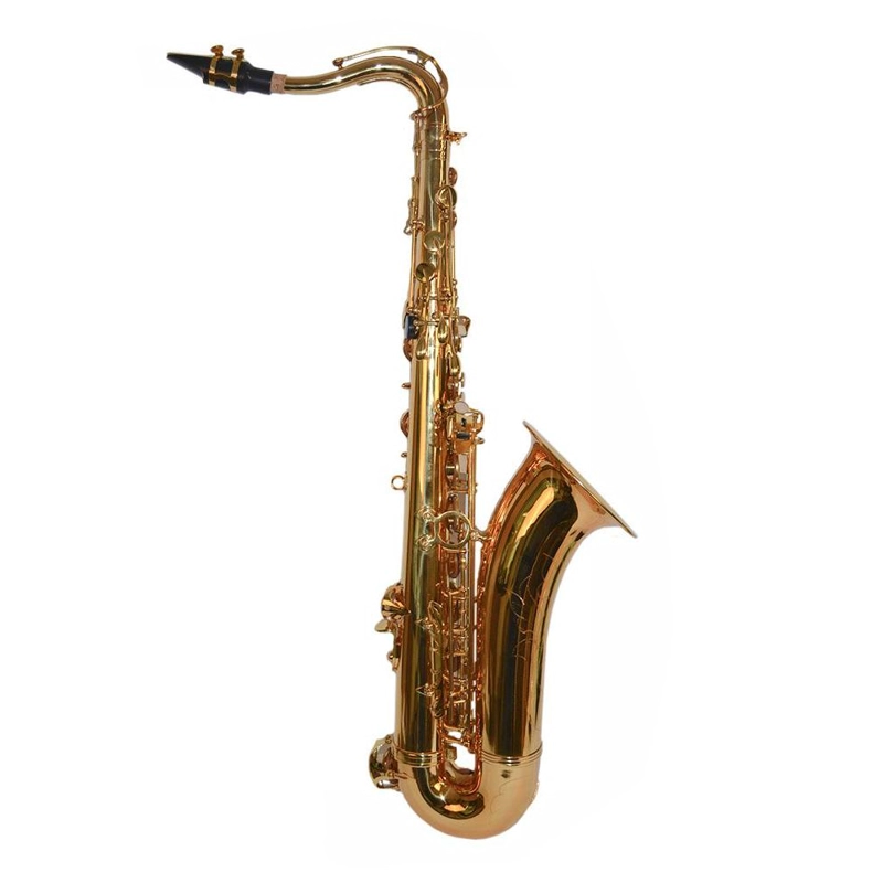 SAXO TENOR MODELO ST-08 ETINGER - 2