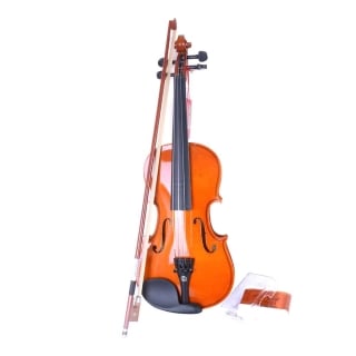 VIOLIN 4/4 MOD.LEHRLING 1 ETINGER - 1
