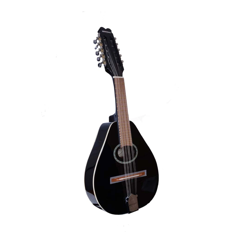 MANDOLINA MEISTEHAFT 10 CUERDAS NEGRO M10C/BK - 2
