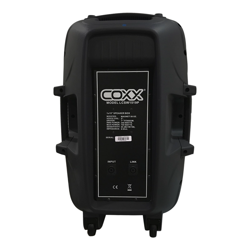 CAJA ACUSTICA PARLANTE 15' PASIVA 700W MOD. LCSW1519P COXX - 2