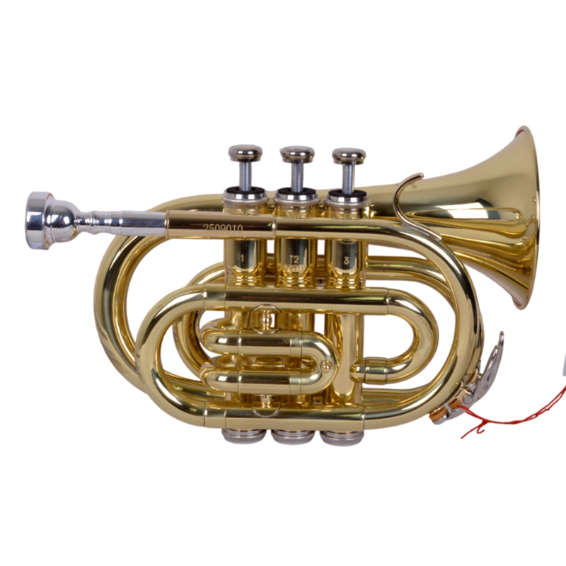 TROMPETA POCKET TRO-202 DORADA ETINGER - 2