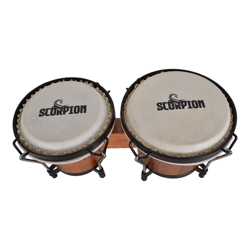 BONGO 6 + 7 MAPLE SCB-67M SCORPION - 2