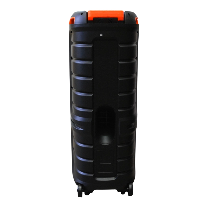 PARLANTE PORTATIL 2X10' 40W LEDS, MIC, BT SING-E ZQS10215 - 4