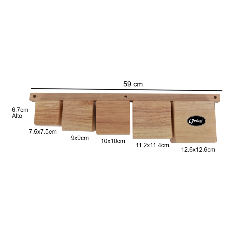 SET DE BLOCKS DE MADERA PENTATONIC CON ATRIL CIPRIANI WB-500W - 4