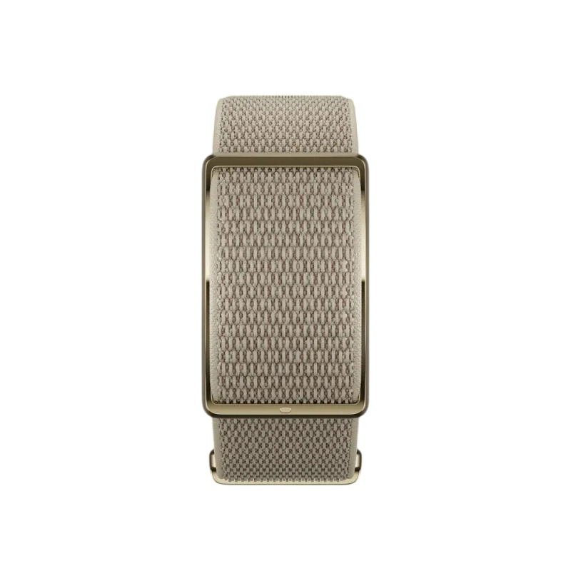 BANDA DE SALUD Y FITNESS POLAR LOOP GEN 2 GOLD - 2