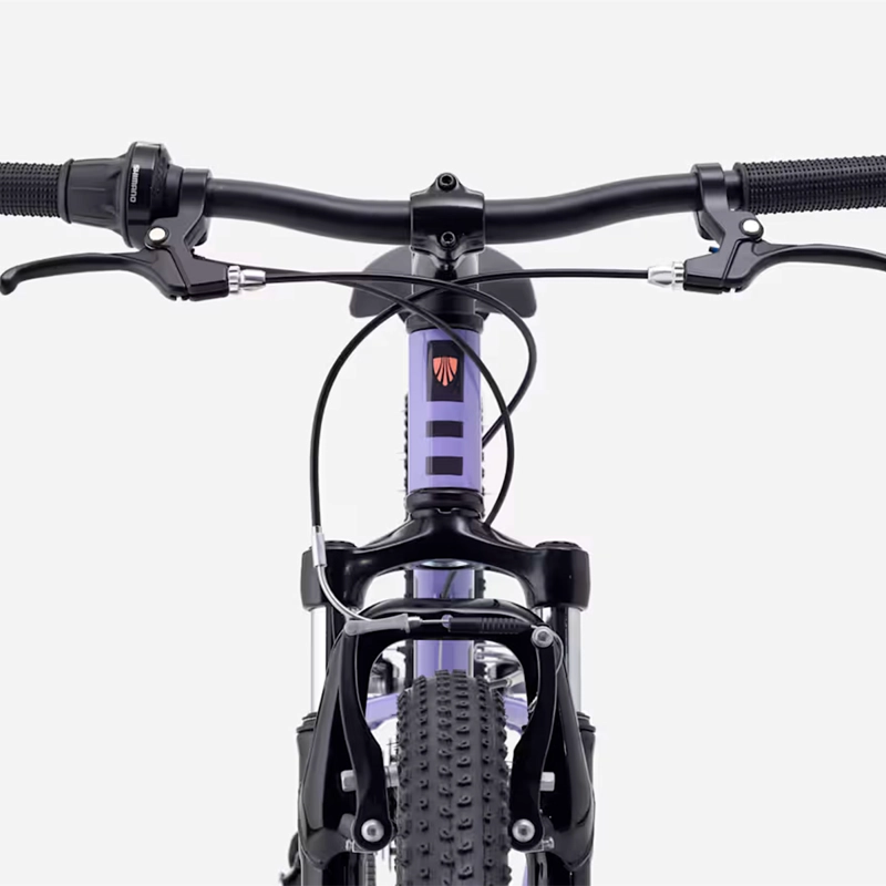 BICICLETA NIÑOS TREK PRECALIBER 24 8SP LILA - 5