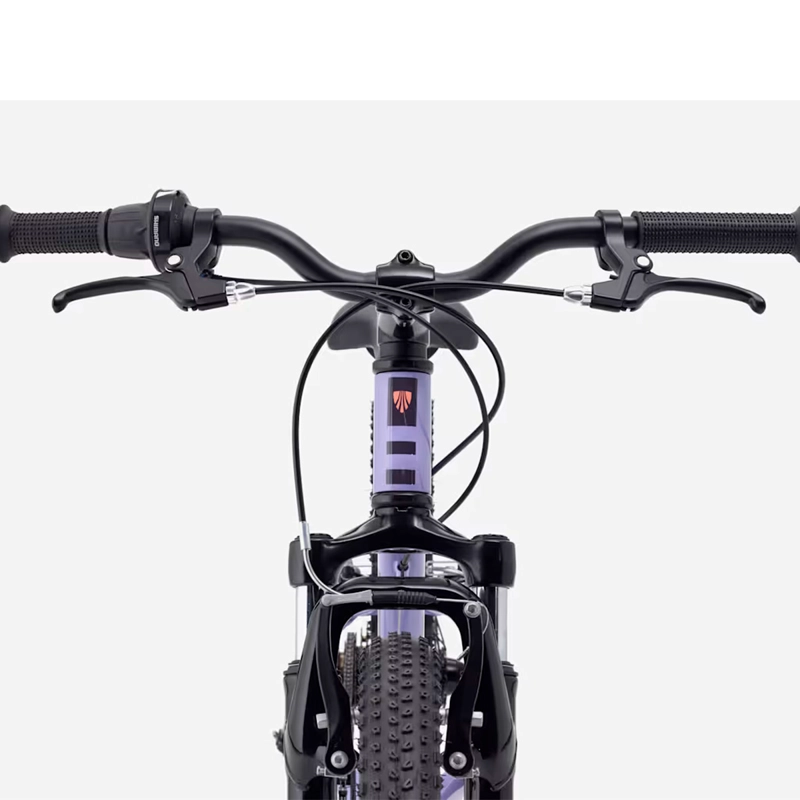 BICICLETA NIÑOS TREK PRECALIBER 20 7SP LILA - 5