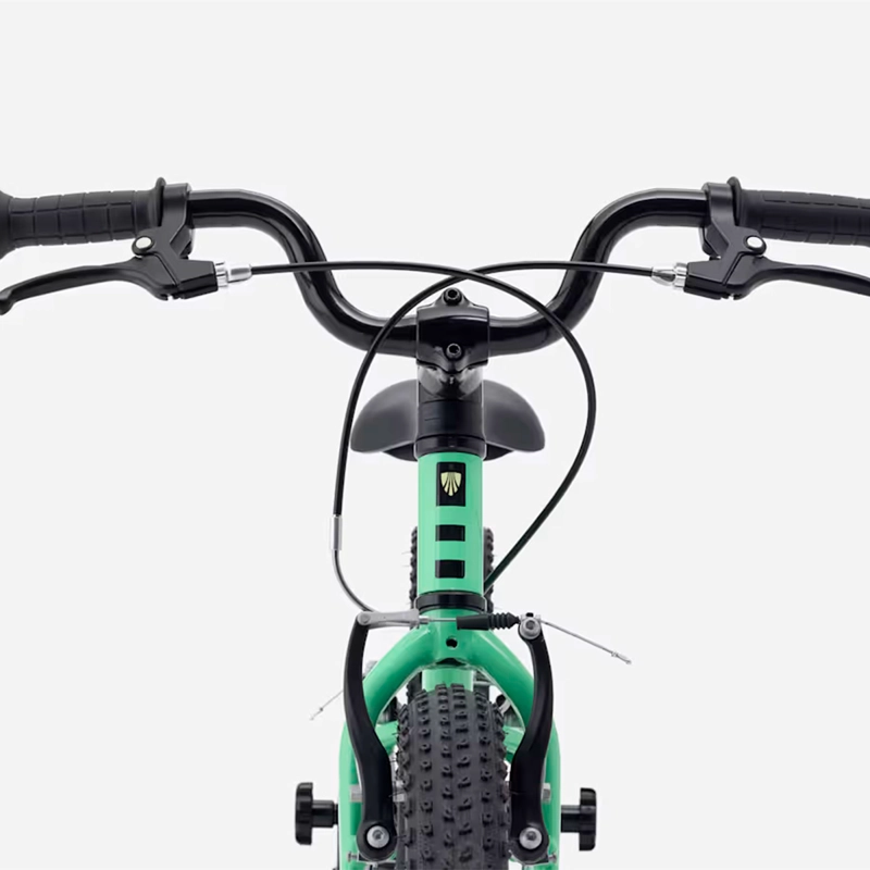 BICICLETA NIÑOS TREK PRECALIBER 16 FW VERDE - 5