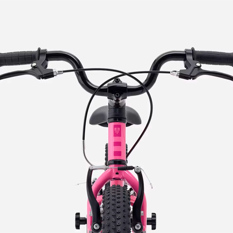 BICICLETA NIÑOS TREK PRECALIBER 16 FW ROSADA - 5