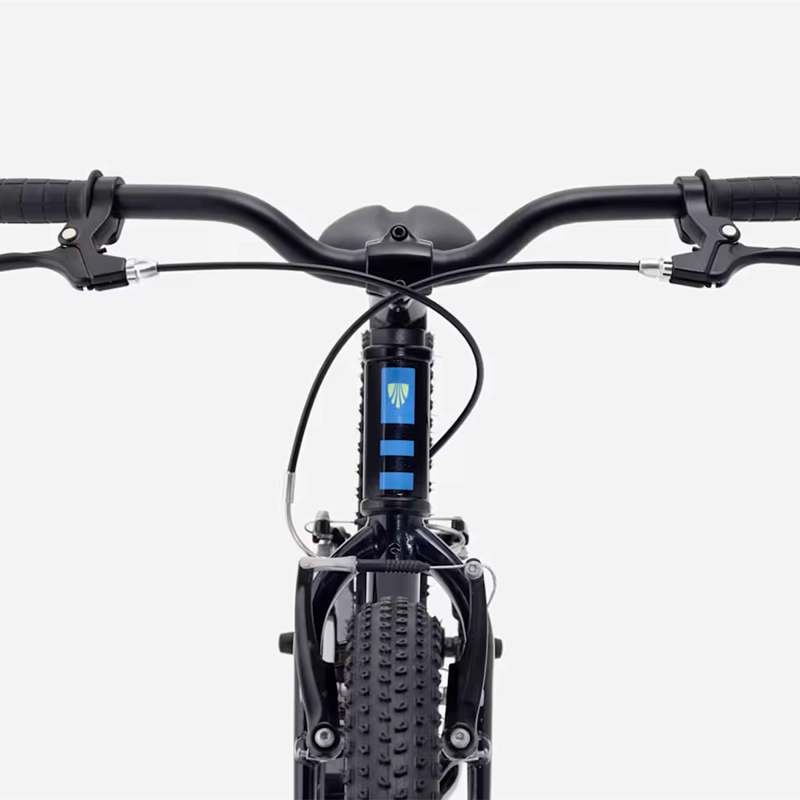 BICICLETA NIÑOS TREK PRECALIBER 20 FW AZUL - 4