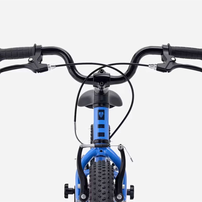 BICICLETA NIÑOS TREK PRECALIBER 16 FW AZUL - 5