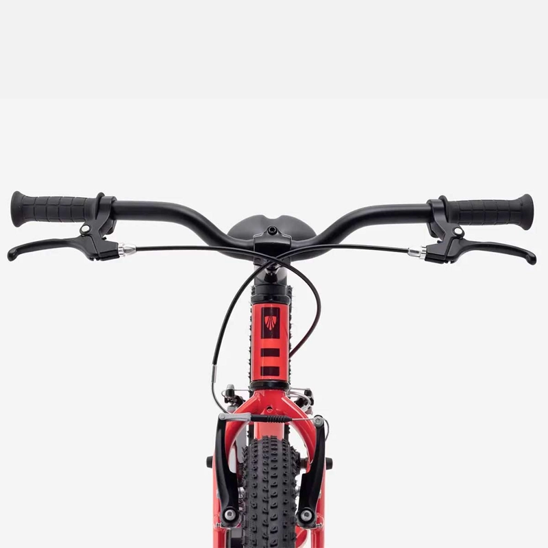 BICICLETA NIÑOS TREK PRECALIBER 20 FW ROJO - 4