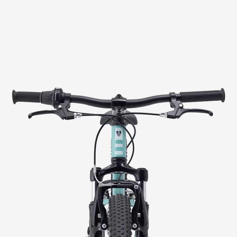 BICICLETA NIÑOS TREK PRECALIBER 24 8SP VERDE - 4