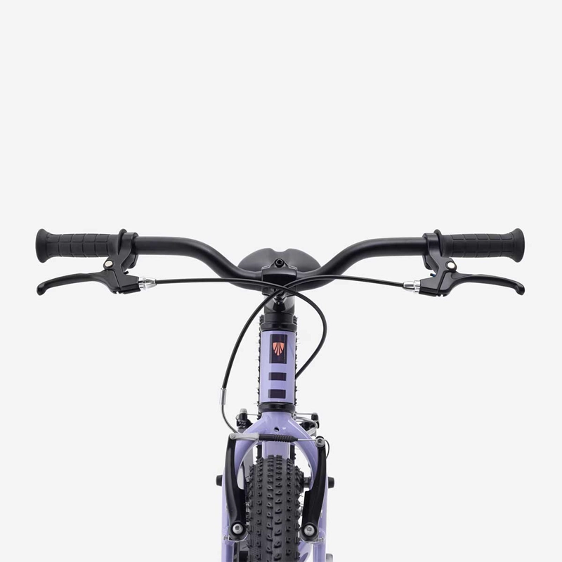 BICICLETA NIÑOS TREK PRECALIBER 20 FW LILA - 4