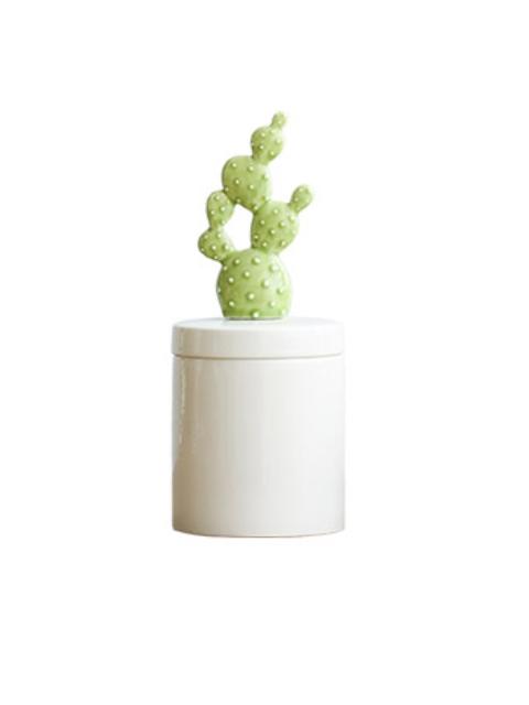 COFRE CACTUS ALTO - 1