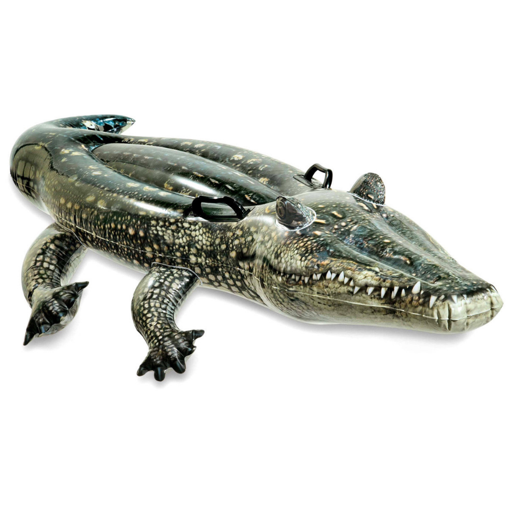 FLOTADOR INFLABLE DISEÑO INTEX COCODRILO REALISTA 173X107 CM REALISTIC GATOR - 1