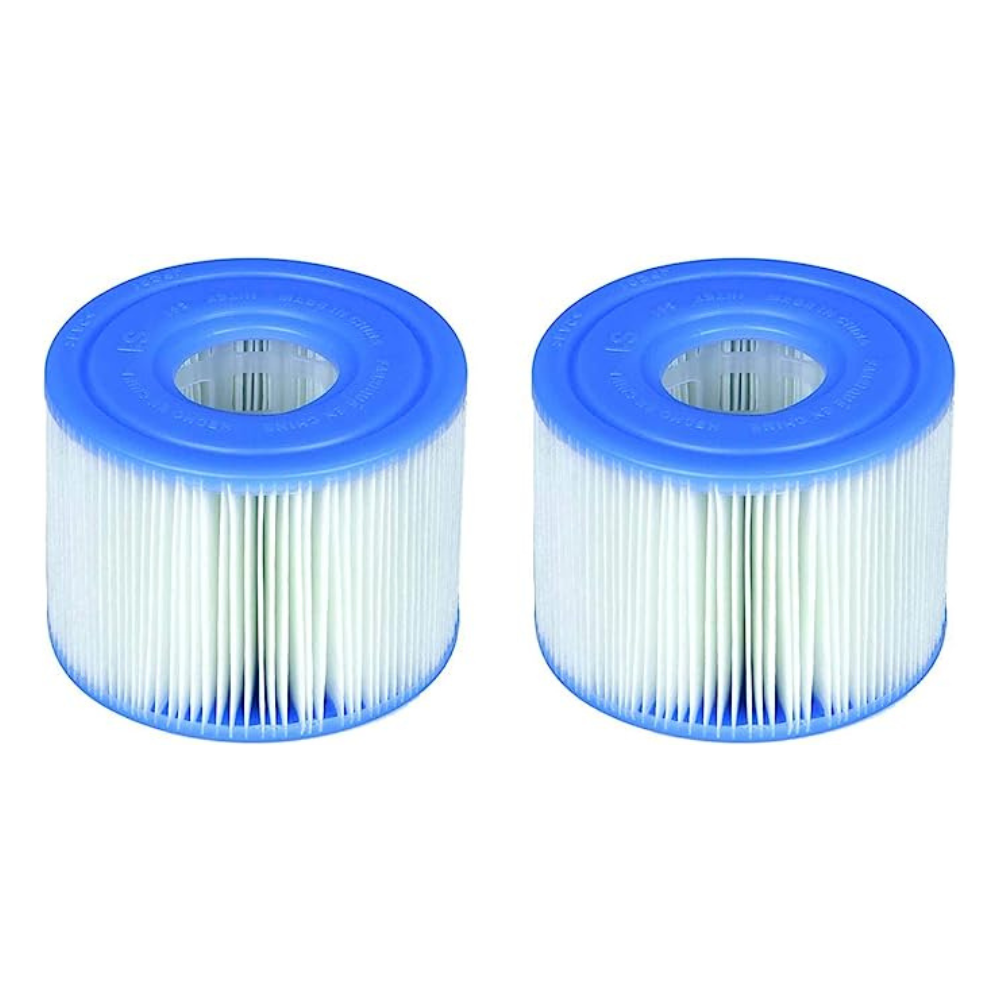 PACK 2 CARTUCHOS INTEX SPA HOT TUB TIPO S1 - 4