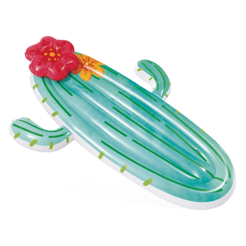 FLOTADOR INFLABLE INTEX MAT CACTUS 180X130X28 CM CACTUS - 2